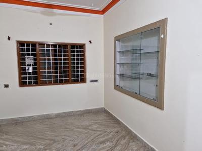 Living Room Image of 1000 Sq.ft 2 BHK Apartment / Flat for rent in Sadashiv Nagar Belagavi for Rs. 8500