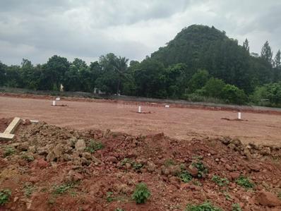 Image of 167 Sq.ft Residential Plot / Land for sale in Akkivaram, Vizianagaram for Rs. 3500000
