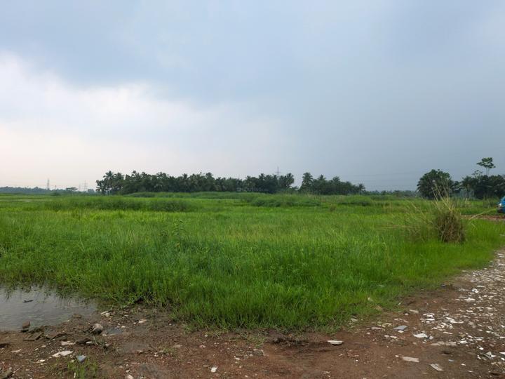 Wander Valley Main Image 1