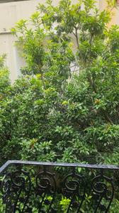 Balcony Image of 5500 Sq.ft 6 BHK Independent House for rent in Banjara Hills Hyderabad for Rs. 400000