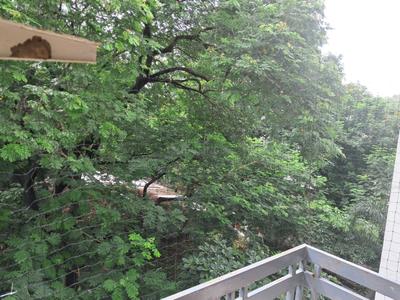 Balcony Image of 1147 Sq.ft 2 BHK Apartment / Flat for sale in Gallops Developers Mayfair Meridian, Diwalipura Vadodara for Rs. 4900000