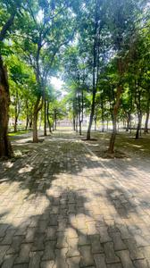 Image of 1350 Sq.ft 3 BHK Apartment / Flat for sale in Magarpatta Trillium, Magarpatta City, Pune for Rs. 21500000