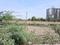 Sector 151 Plot View 2