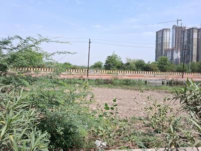 Sector 151 Plot View 2