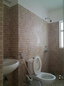 Common Bathroom Image of 1564 Sq.ft 3 BHK Apartment / Flat for sale in Paras Tierea, Sector 137 Noida for Rs. 13000000