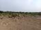 Sashte Plot View 1