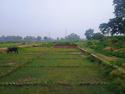 Image of 1200 Sq.ft Residential Plot / Land for sale in Bihta, Patna for Rs. 1635000