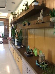 Kitchen Image of 1750 Sq.ft 3 BHK Apartment / Flat for rent in Dhantoli Nagpur for Rs. 55000