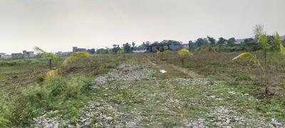 Image of 1800 Sq.ft Residential Plot / Land for sale in Bhauwala, Dehradun for Rs. 5700000