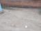 Dodsworth Layout, Whitefield Plot View 1
