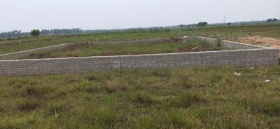 Image of 1300 Sq.ft Residential Plot / Land for sale in Atharanala, Puri for Rs. 1300000