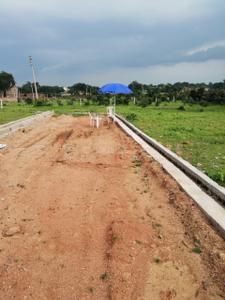 Image of 16000 Sq.ft Residential Plot / Land for sale in Khailar, Jhansi for Rs. 8000000