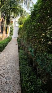 Image of 1500 Sq.ft 3 BHK Farm House for sale in Dkrrish Green Beauty Farms, Sector 135, Noida for Rs. 8500000