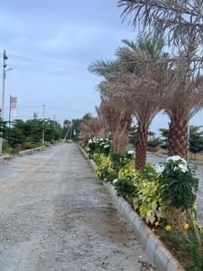Image of 1500 Sq.ft Residential Plot / Land for sale in Maliyappanahalli, Kolar for Rs. 4275000