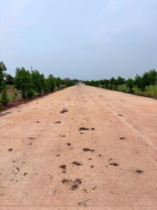 Image of 1250 Sq.ft Residential Plot / Land for sale in Old Dhamtari Road, Raipur for Rs. 3125000