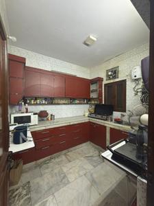 Kitchen Image of Co sharing  in Malviya Nagar, New Delhi