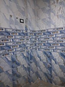 Common Bathroom Image of 1050 Sq.ft 2 BHK Apartment / Flat for sale in Sector 49 Noida for Rs. 4500008