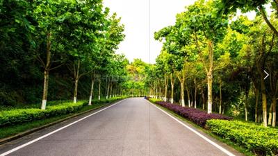 Image of 1215 Sq.ft Residential Plot / Land for sale in 3B Estate 95, Sector 95, Gurgaon for Rs. 21600000