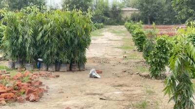 Image of 900 Sq.ft Residential Plot / Land for sale in Dasna, Ghaziabad for Rs. 2800000