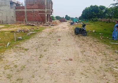 Sirsi Plot View 3