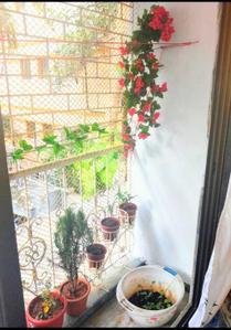 Balcony Image of 1000 Sq.ft 2 BHK Apartment / Flat for rent in Vashi Navi Mumbai for Rs. 59900