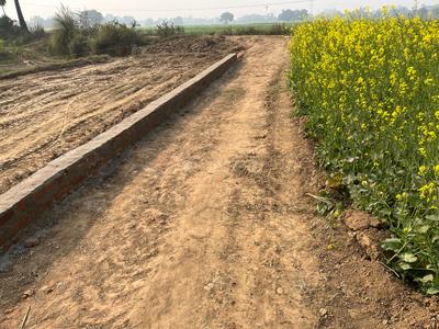 Image of 1400 Sq.ft Residential Plot / Land for sale in Bela, Patna for Rs. 2800000
