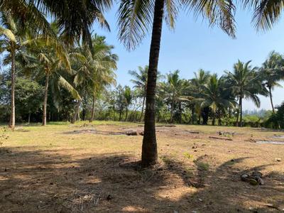 Image of 11000 Sq.ft Residential Plot / Land for sale in Nagaon, Alibag for Rs. 13200000