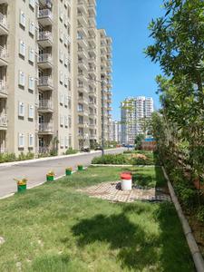 Image of 700 Sq.ft 3 BHK Apartment / Flat for sale in Pyramid Altia, Sector 70, Gurgaon for Rs. 8000000