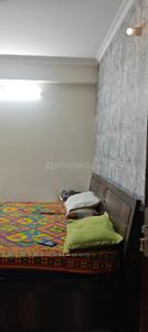 Bedroom Image of 1700 Sq.ft 3 BHK Apartment / Flat for rent in Tilak Nagar Jaipur for Rs. 35000