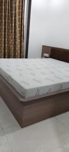 Bedroom Image of 1300 Sq.ft 3 BHK Apartment / Flat for rent in Vallabh Vidhyanagar Anand for Rs. 30000