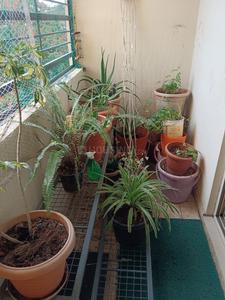 Balcony Image of 1475 Sq.ft 3 BHK Apartment / Flat for sale in Nandi Forest View by Nandi Developers, Srinivaspura Bengaluru for Rs. 13400000