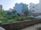 New Palam Vihar Phase 1, Sector 110 Main Image 1