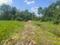 Diamond Park, Joka Plot View 2