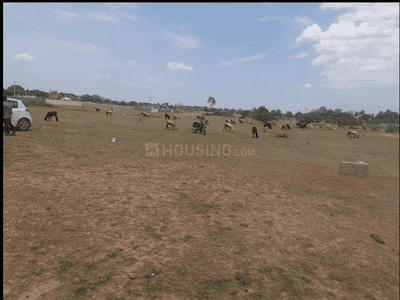 Image of 275 Sq.ft Residential Plot / Land for sale in Kanuparthipadu, Nellore for Rs. 4400000