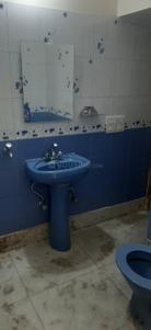 Bathroom Image of 1800 Sq.ft 3 BHK Builder Floor for rent in Sector 20 Chandigarh for Rs. 35000