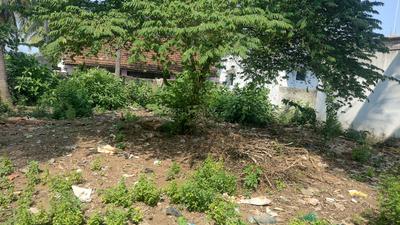Image of 1206 Sq.ft Residential Plot / Land for sale in Panduru, Kakinada for Rs. 1200000