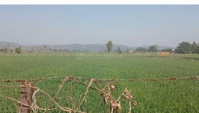 Image of 136200 Sq.ft Residential Plot / Land for sale in Ramnagar, Nainital for Rs. 80000000