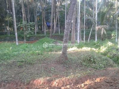 Image of 7840 Sq.ft Residential Plot / Land for sale in Naduvannur, Kozhikode for Rs. 1700000