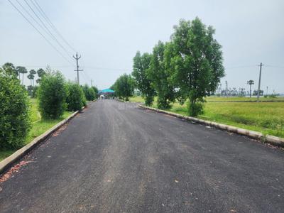 Bhogapuram More Images 2
