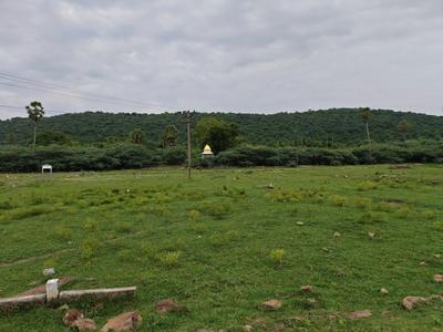 Residential Plot