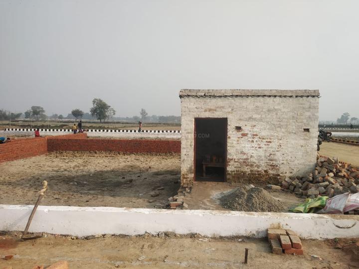 Anora Kala Main Image 1