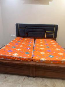 Bedroom Image of 1500 Sq.ft 5 BHK Apartment / Flat for rent in Bhabat Zirakpur for Rs. 65000