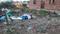 Geeta Colony Main Image 1