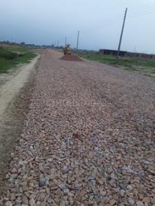 Plot View