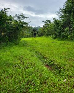 Image of 40000 Sq.ft Residential Plot / Land for sale in Bhor, Pune for Rs. 3000000