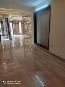 Hall Image of 2520 Sq.ft 4 BHK Builder Floor for sale in Punjabi Bagh New Delhi for Rs. 40000000