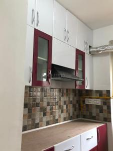Kitchen Image of 596 Sq.ft 2 BHK Apartment / Flat for rent in Stellar One, Noida Extension Greater Noida for Rs. 22000
