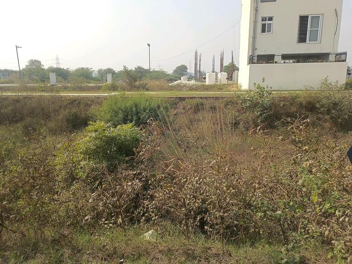 Satya Merano Greens Main Image 1