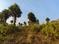 Amalapada Plot View 2
