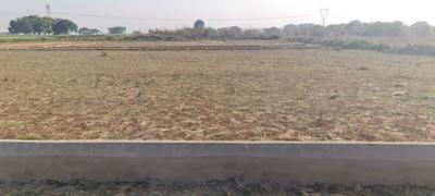 Image of 1000 Sq.ft Residential Plot / Land for sale in Jhalwa, Allahabad for Rs. 1000000